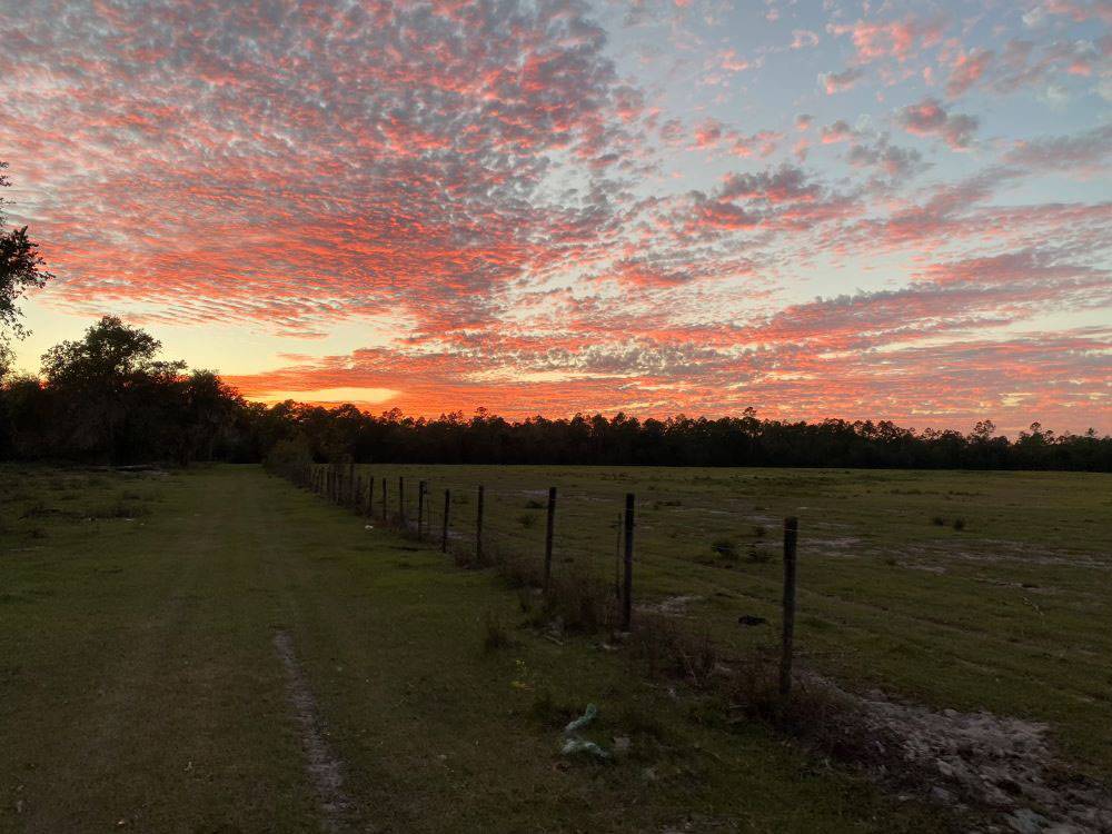 New 100+ Site RV Park  For Sale North Florida with 120 additional acres and house $6,000,000