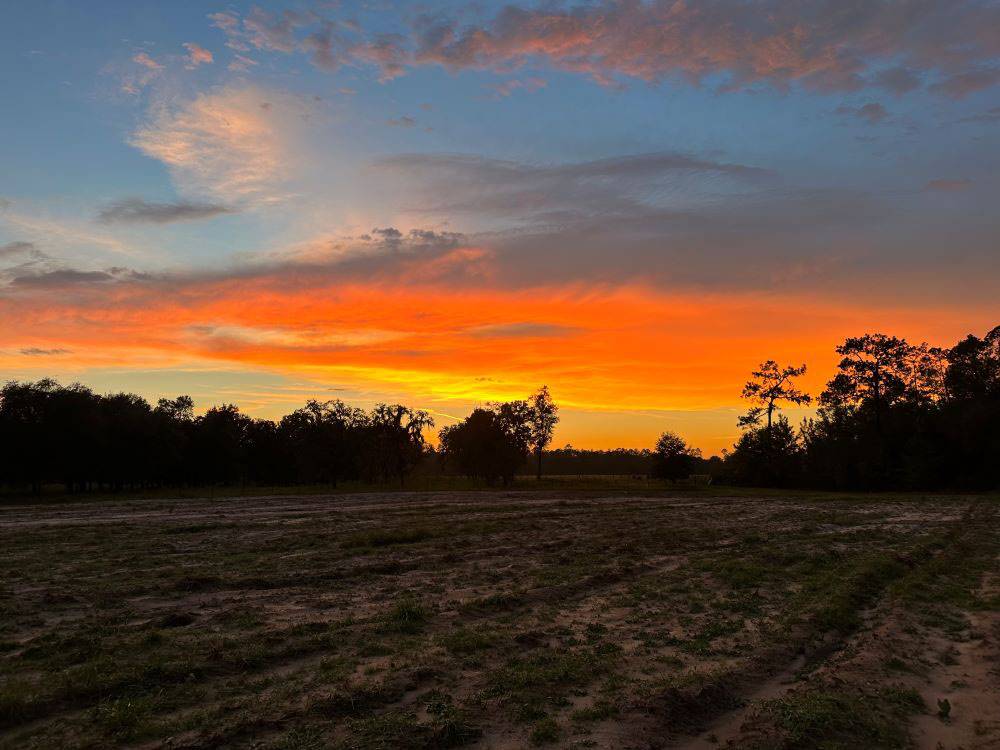 New 100+ Site RV Park  For Sale North Florida with 120 additional acres and house $6,000,000