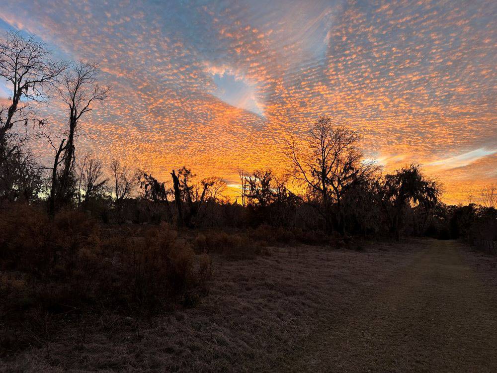 New 100+ Site RV Park  For Sale North Florida with 120 additional acres and house $6,000,000